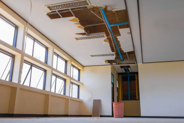 Best Flood damage cleanup  in Kaloko, HI