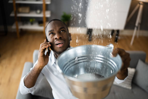 Best Ceiling water damage repair  in Kaloko, HI