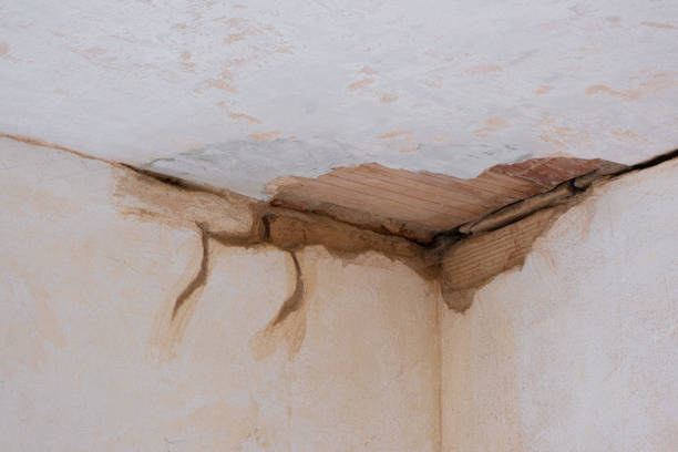 Best Professional water damage repair  in Kaloko, HI
