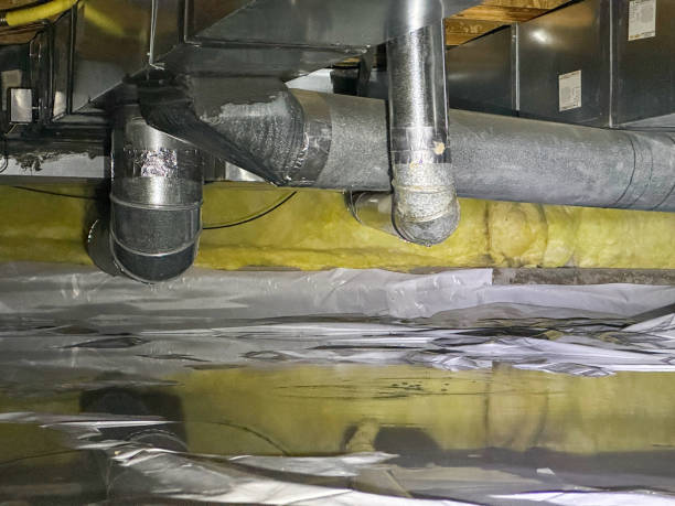 Best 24/7 water damage repair  in Kaloko, HI