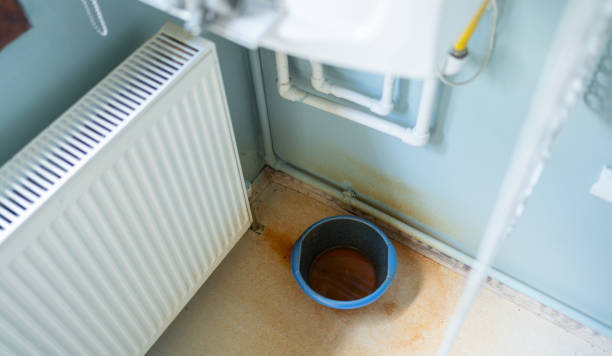 Best Water damage restoration mold remediation  in Kaloko, HI